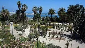 jardines de Mossèn