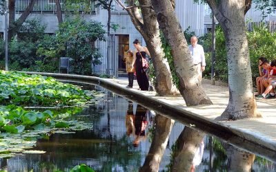 PARQUE DEL TURÓ