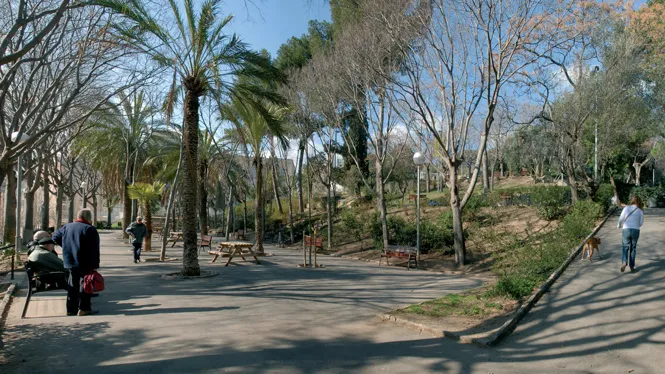 Turó