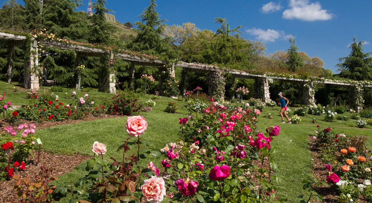 Parque de Cervantes