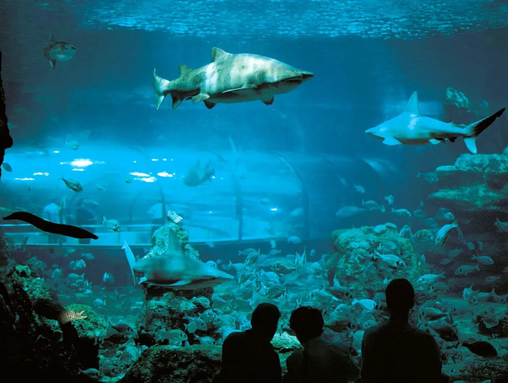 Acuario de Barcelona